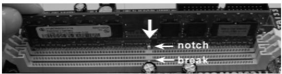 ASROCK 2CORE1066-2.13G - Installare una DIMM - 3