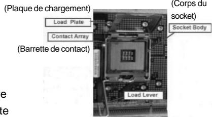 ASROCK 2CORE1066-2.13G - Installation du CPU - 2