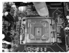 ASROCK 4COREDX90-VSTA - Instalação da CPU - 3