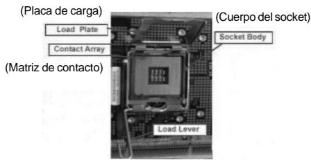 (Placa de carga) Load Plate Contact Array (Matriz de contacto) (Cuerpo del socket) Socket Body Load Lever