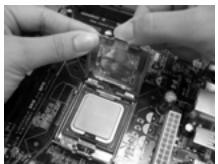 ASROCK 4COREDX90-VSTA - Passo 3. Remova a capa PnP - 1