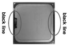 ASROCK 4COREDX90-VSTA - CPU Installation - 5