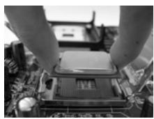 ASROCK 4COREDX90-VSTA - CPU Installation - 9