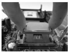 ASROCK 4COREDX90-VSTA - Paso 2. Inserte la CPU de 775 agujas: - 5