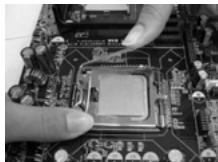 ASROCK 4COREDX90-VSTA - CPU Installation - 12
