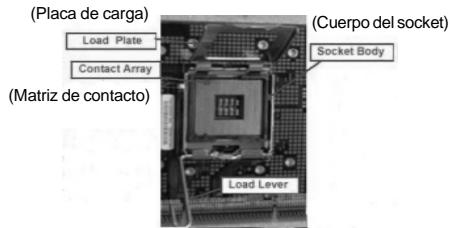 ASROCK 775I65G - Instalación de Procesador - 1