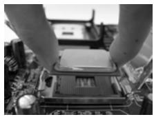ASROCK 775I65G - Instalación de Procesador - 9