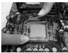 ASROCK 775I65G - Fase 2. Inserire la CPU 775-Pin: - 7