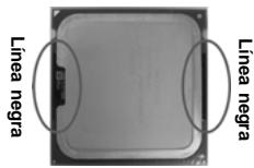 ASROCK 775I65G - Instalación de Procesador - 5