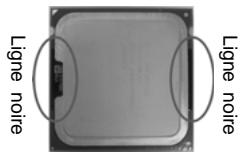ASROCK 775I65G - Installation du CPU - 4