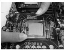 ASROCK 775I65G - Instalación de Procesador - 12