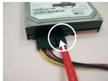 ASROCK K10N750SLI-110DB - How to Hot Plug a SATA / SATAII HDD: - 7