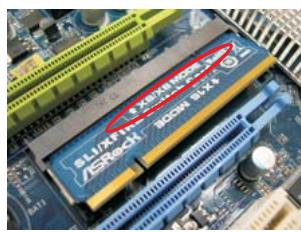 ASROCK K10N750SLI-110DB - Enjoy the benefit of SLI^TM - 4