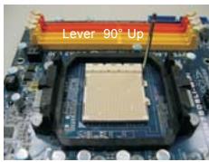 ASROCK K10N750SLI-110DB - CPU Installation - 2