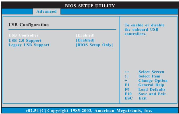 ASROCK K10N750SLI-110DB - USB Configuration - 1