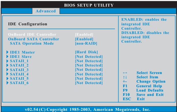 ASROCK K10N750SLI-110DB - 3.3.4IDE Configuration - 1