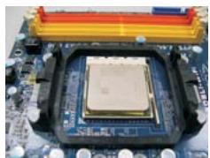 ASROCK K10N750SLI-110DB - CPU Installation - 4