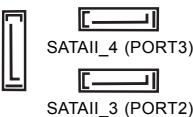 ASROCK K10N750SLI-110DB - Serial ATA II Connectors - 4
