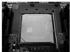 ASROCK 890FX DELUXE 5 - Installazione del processore - 4