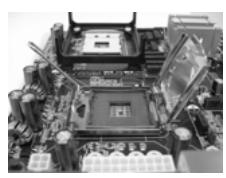 ASROCK G41M-VS3 - CPU Installation - 4