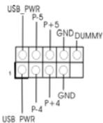 ASROCK G41M-VS3 - Integrierte Header und Anschlüsse - 8