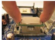 ASROCK G41M-GS3 - CPU Installation - 9