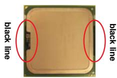 ASROCK G41M-GS3 - CPU Installation - 5