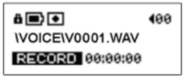 TRANSCEND TS256MJF-MP3 - Record Voice - 2