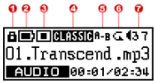 TRANSCEND TS256MMP510 - LCD Display - 1