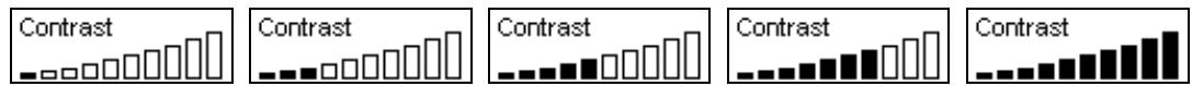 TRANSCEND TS256MMP510 - Contrast - 2