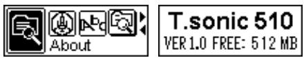 TRANSCEND TS256MMP510 - About - 1