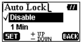 TRANSCEND TS256MMP620 - Auto Lock - 2
