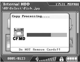 TRANSCEND TS25PSP20G - Copy Single File/Folder - 2