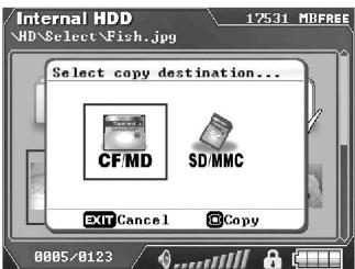TRANSCEND TS25PSP20G - Copy Single File/Folder - 1