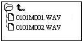 TRANSCEND TS2GMP630 - Delete a file in the RECORD Mode - 2