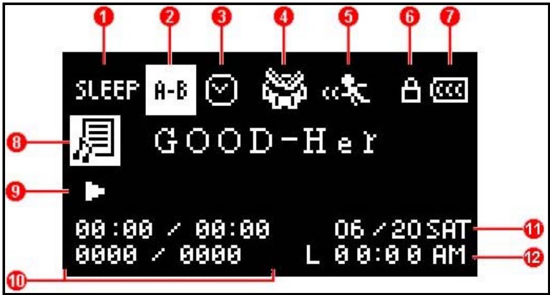 TRANSCEND TS2GMP630 - OLED Display - 1