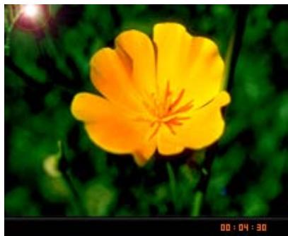 TRANSCEND TS4GMP840 - Play MTV Video files on your MP840 - 2
