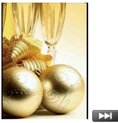 TRANSCEND MP860 - Displaying Photos - 3