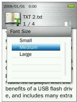 TRANSCEND MP860 - Font Size - 2