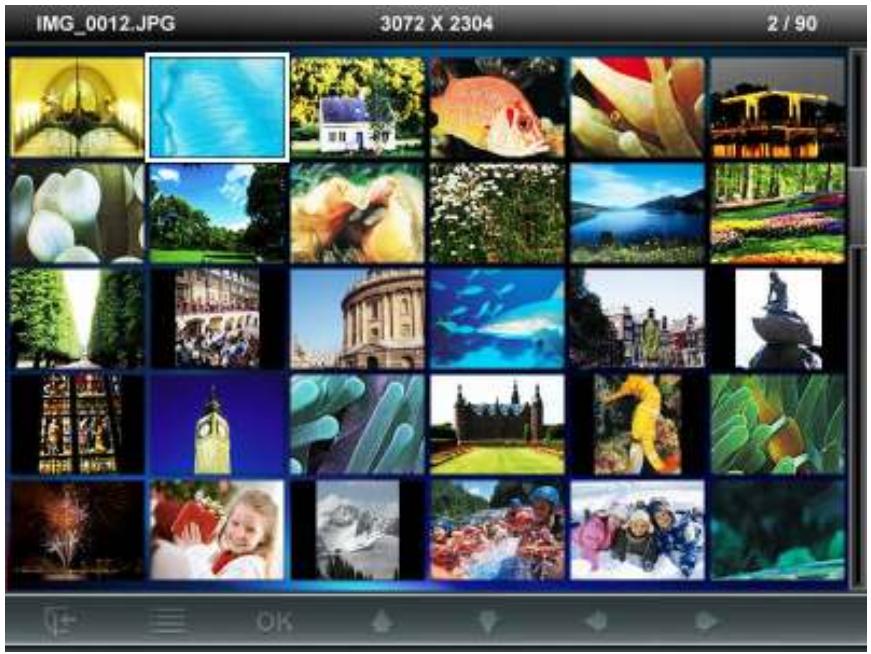 TRANSCEND PF810 - Thumbnail Mode - 1