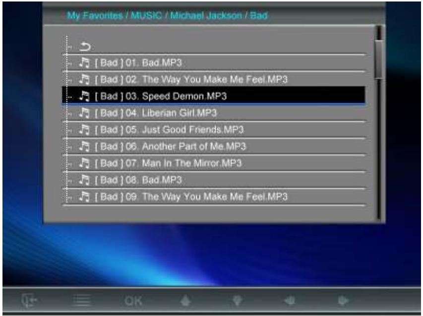 TRANSCEND PF810 - Music Explorer - 1