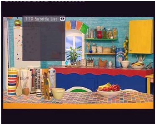 EMTEC HDD MOVIE CUBE S800 - Subtitle List Menu - 2