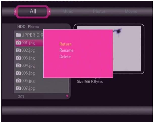 EMTEC HDD MOVIE CUBE S120 - Renaming / Deleting Files - 1