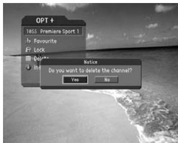 HUMAX DV-1100S - Delete a Channel - 1