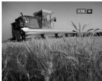 HUMAX DV-1100S - Fast Playing - 1