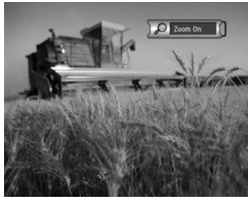 HUMAX DV-1100S - Zooming in and out - 1