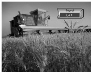 HUMAX DV-1100S - Repeat a section of disc - 1