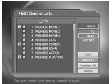 HUMAX DV-1100S - Select a Channel Group - 1