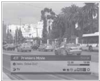 HUMAX LGB-19DTT - Displaying Information - 2