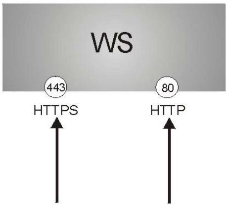 ZYXEL GS-3012F - Introduction to HTTPS - 1